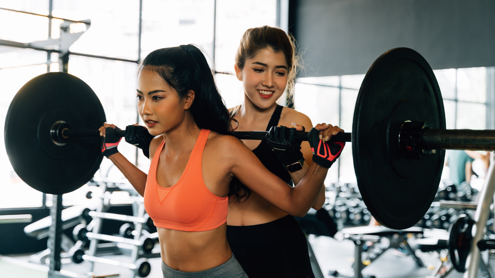 FitSo Hub | Find Personal Trainers & Wellness Professionals